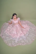 Blush Pink Heavy Sequin Embroidered Net Lehenga Choli Set - Image 3